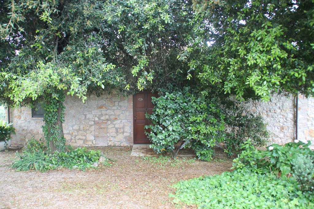 Case Cordovani Magliano in Toscana Luaran gambar